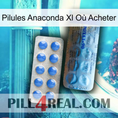 Pilules Anaconda Xl Où Acheter 40
